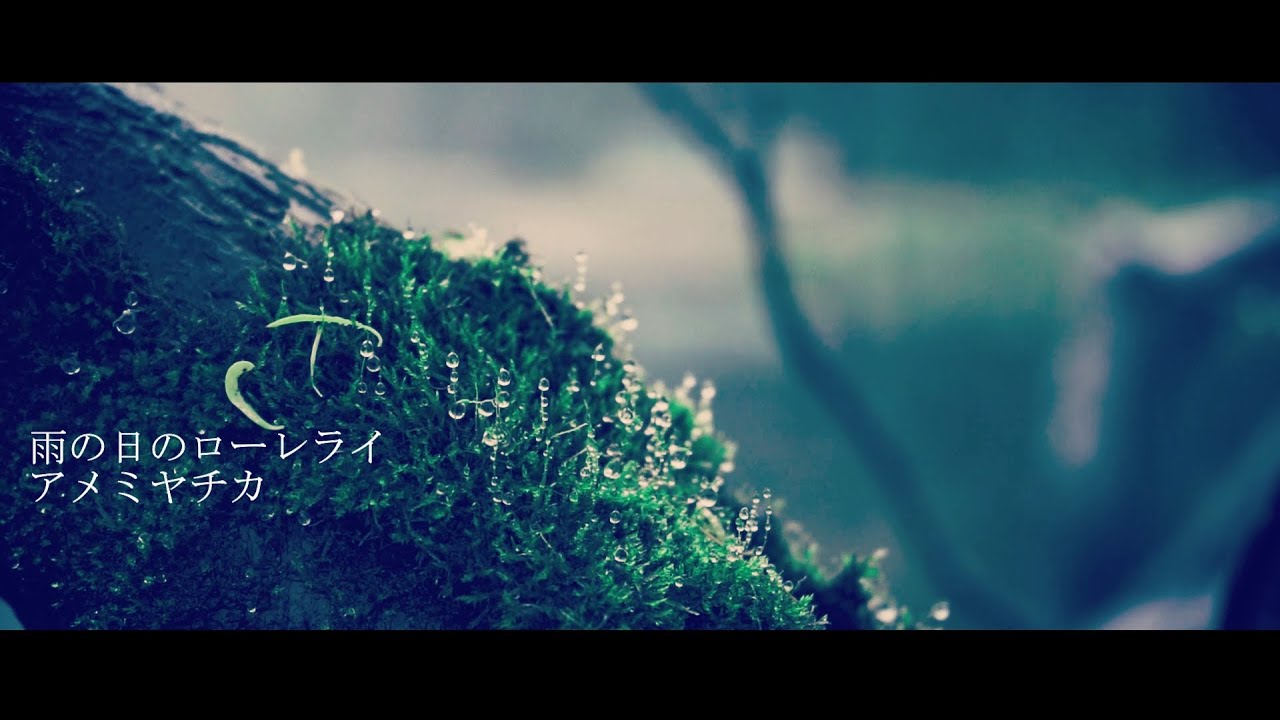 雨の日のローレライ