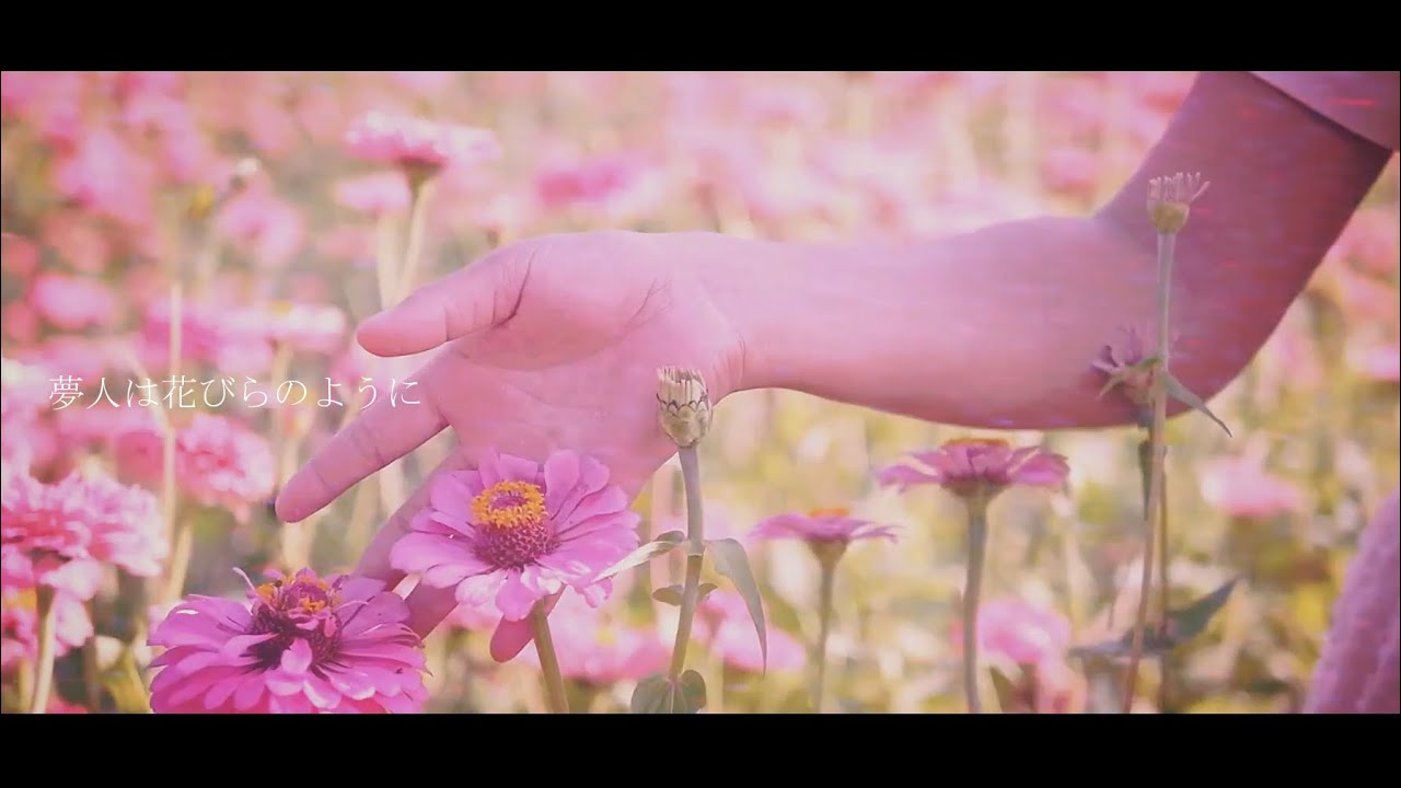 夢人は花びらのように